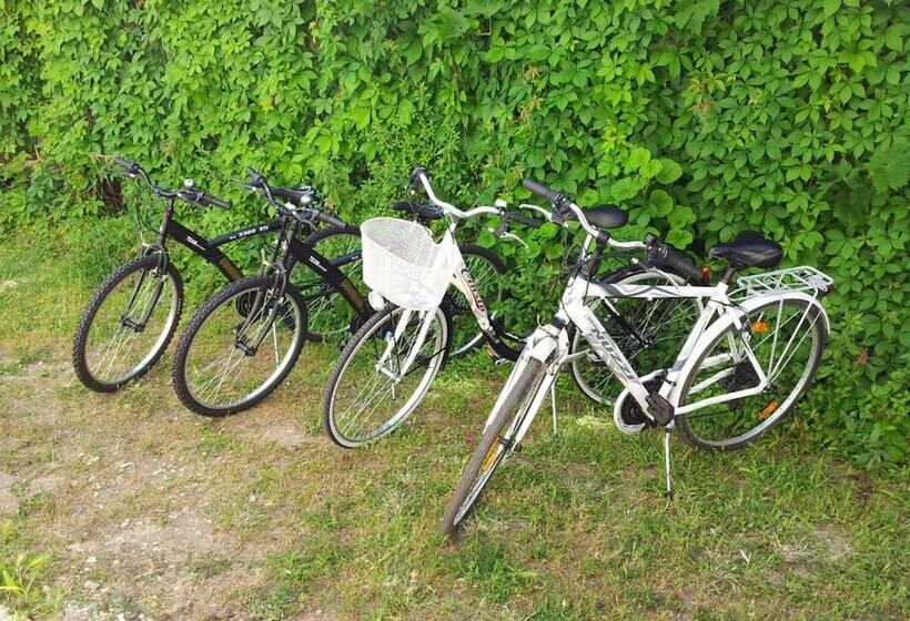 B&b Jamba Self Ceck In