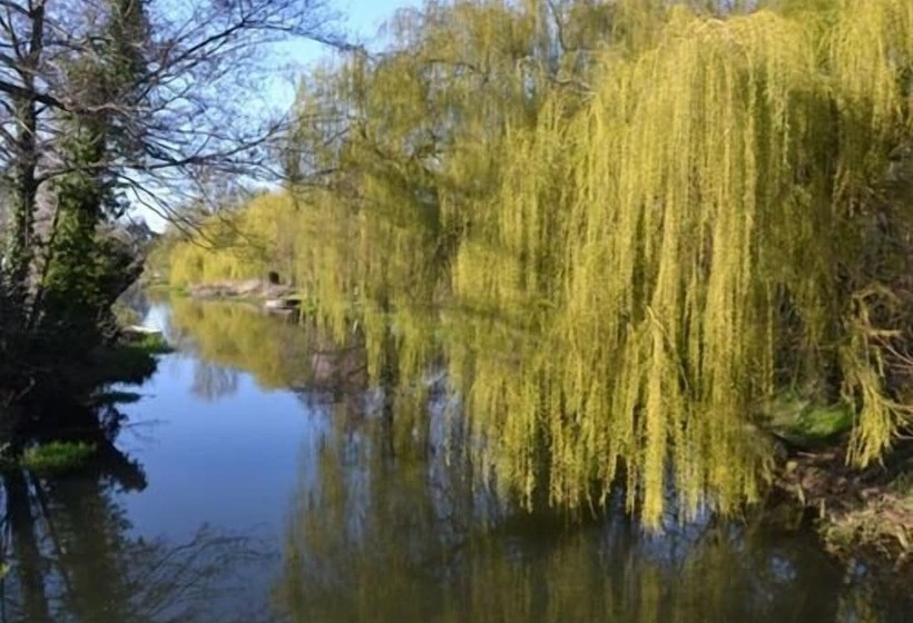 مبيت وإفطار The Bridge Guest House