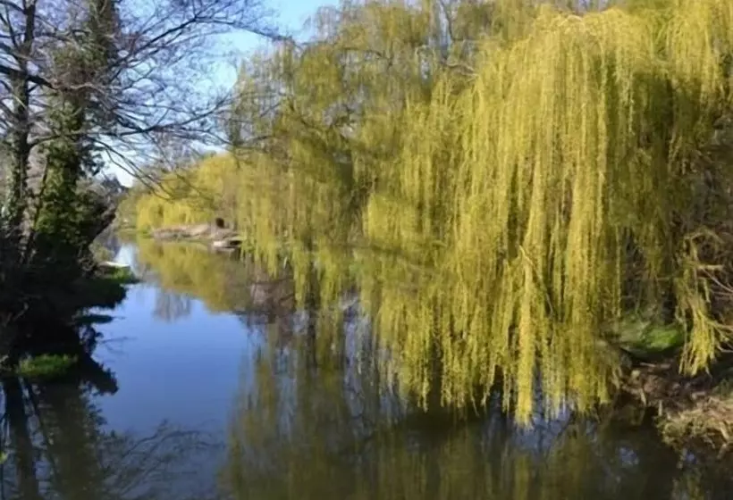 تختخواب و صبحانه The Bridge Guest House