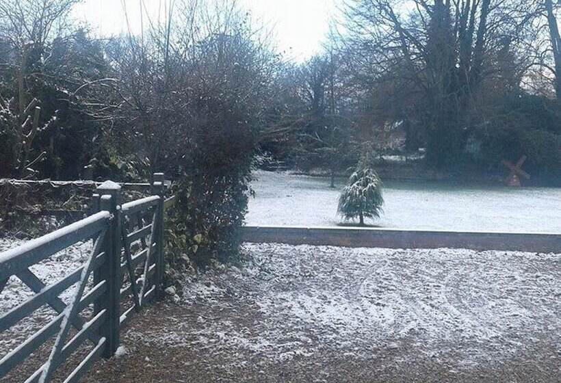 مبيت وإفطار The Bridge Guest House