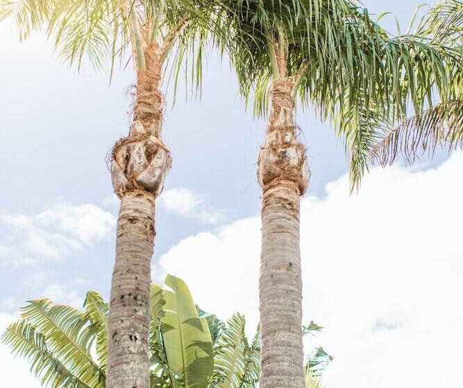 Chalet Motel Brunswick Heads