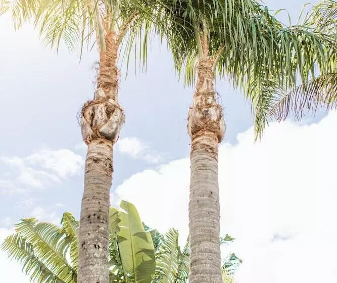 Chalet Motel Brunswick Heads