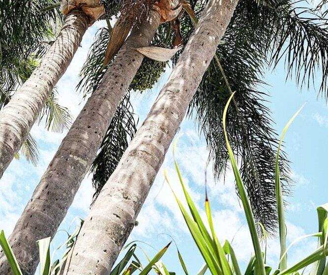 Chalet Motel Brunswick Heads