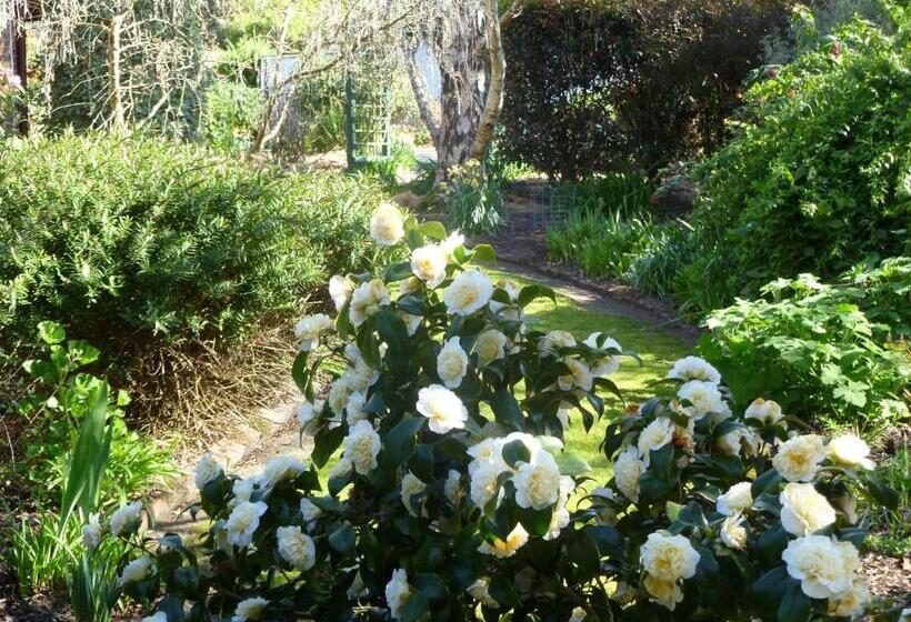 فندق Donalea Bed And Breakfast & Riverview Apartment