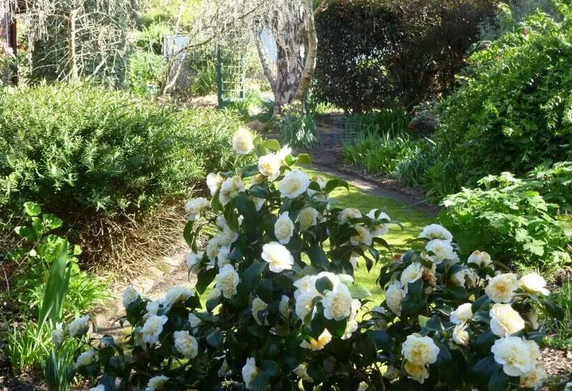 Отель Donalea Bed And Breakfast & Riverview Apartment