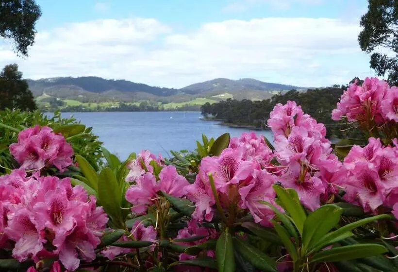 Отель Donalea Bed And Breakfast & Riverview Apartment