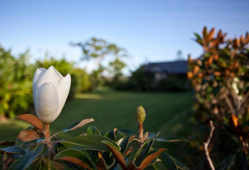 בית מלון כפרי La Vista Byron Bay