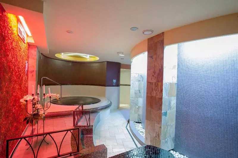 هتل Magnus Trenčín