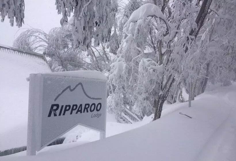酒店 Ripparoo Ski Lodge