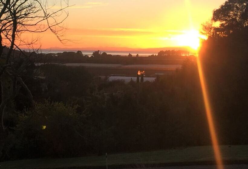 Отель Terraced Chalets