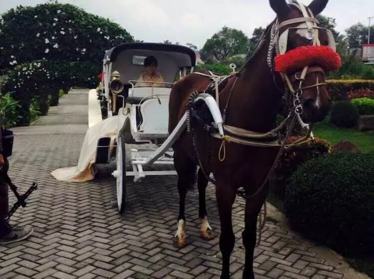 The Q Hotel & Restaurant