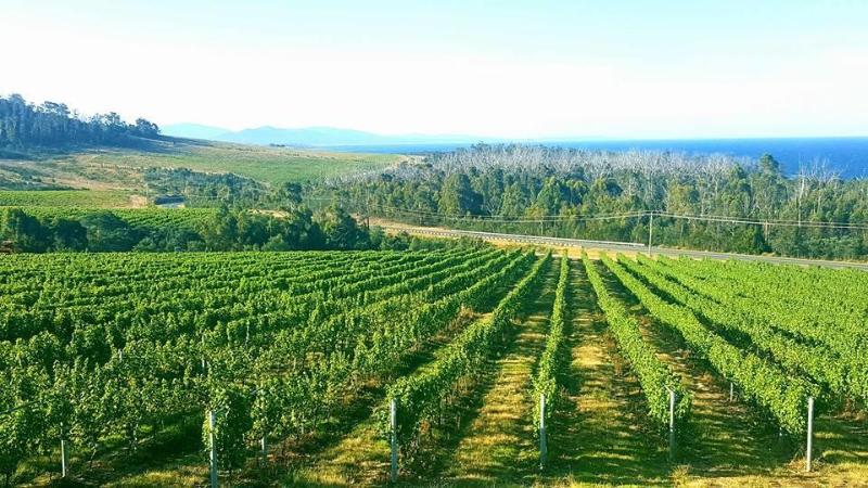 Отель White Sands Estate