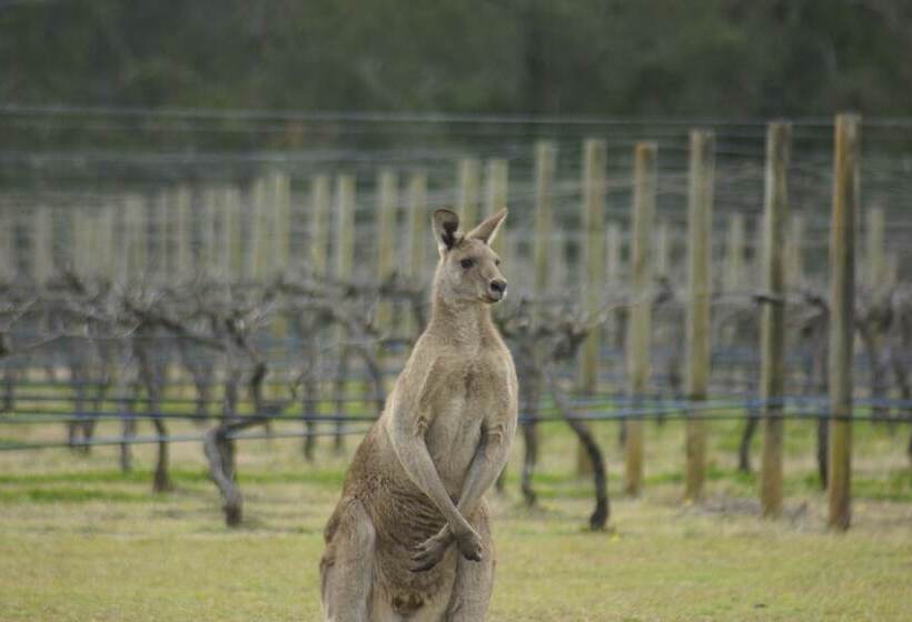 The Carriages Boutique Hotel and Vineyard