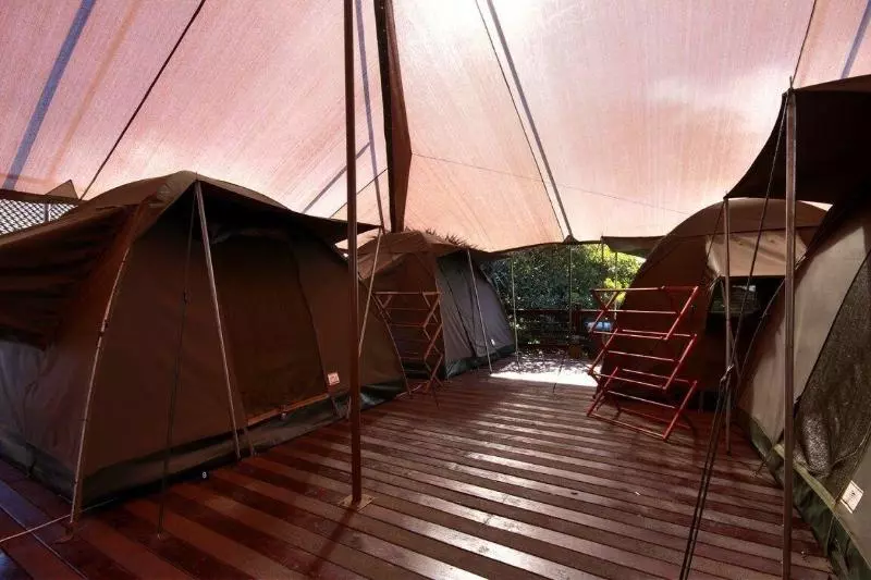 호스텔 Urban Glamping Tranquil International Backpacking Village