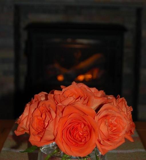 Ardarroch Cottage B&b