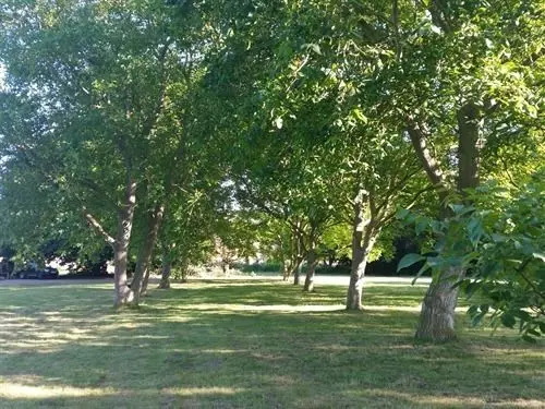 Bed and Breakfast Red Lodge Country House