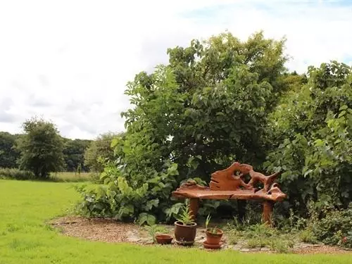 Bed and Breakfast Red Lodge Country House