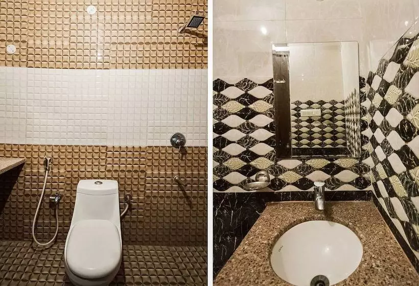 Collection O Hotel Shani Classic