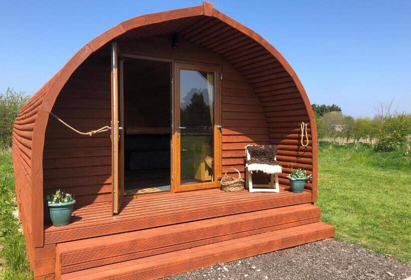 Отель Manor Farm Stay