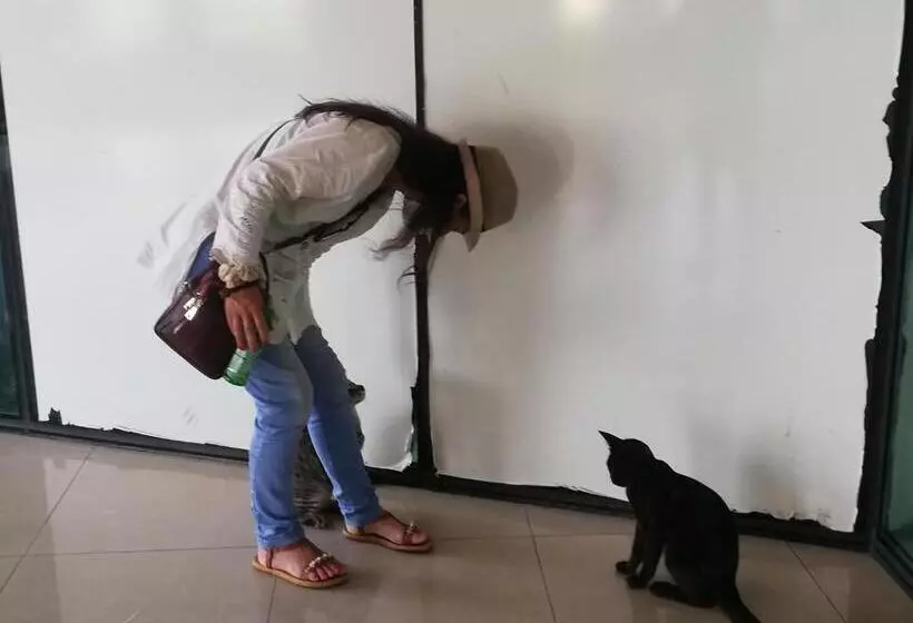 پانسیون Days Inn