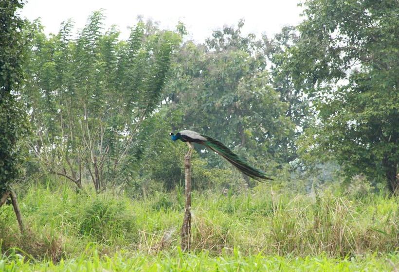 פנסיון Sigiriya Wewa Addara Hotel   Hotel By The Lake