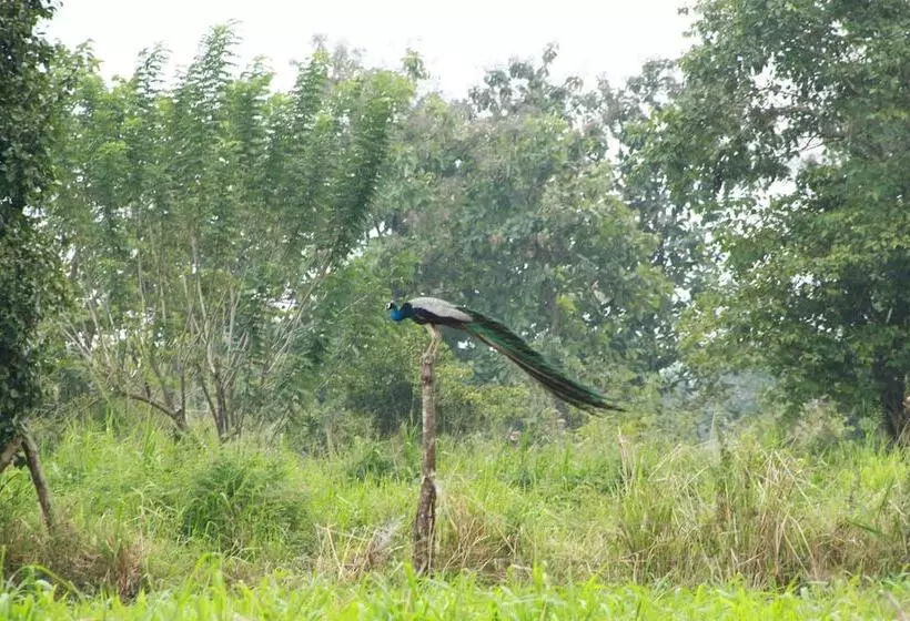 膳宿费 Sigiriya Wewa Addara Hotel Hotel By The Lake