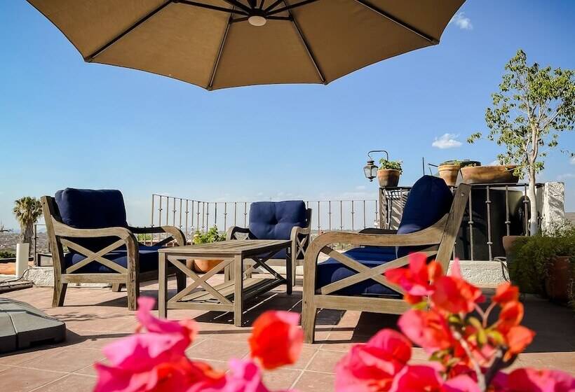 بنسيون Dream House