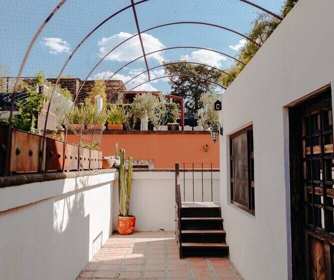 بنسيون Dream House