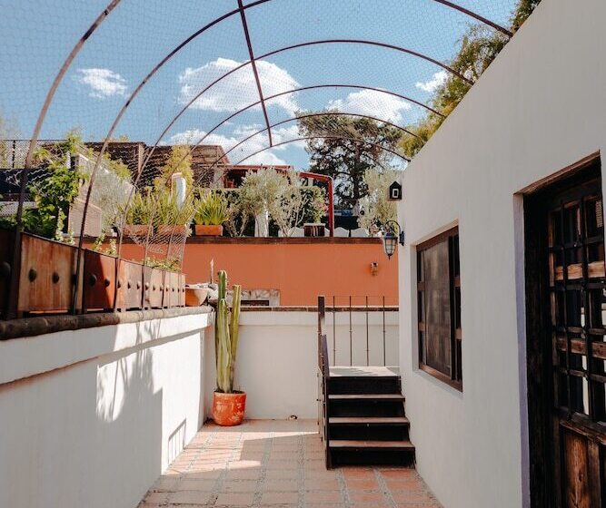 بنسيون Dream House