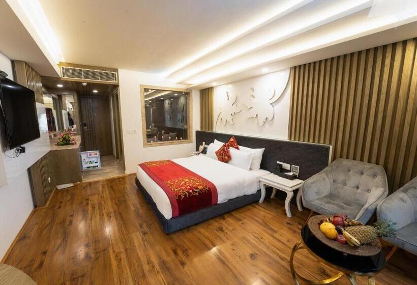 هتل Snow Land Srinagar