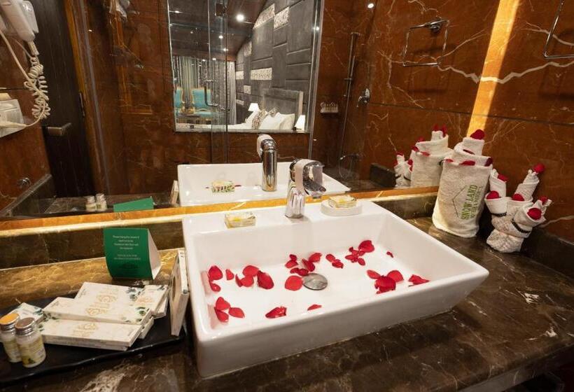 هتل Snow Land Srinagar