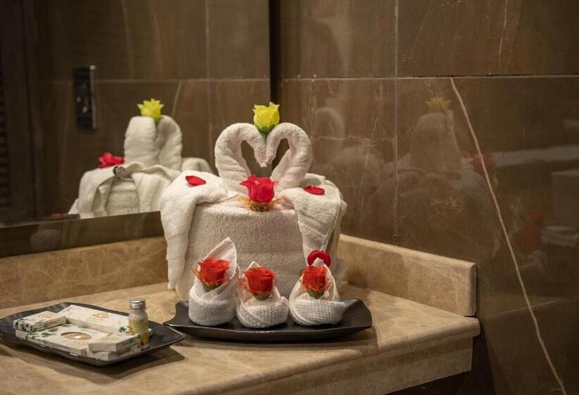 هتل Snow Land Srinagar