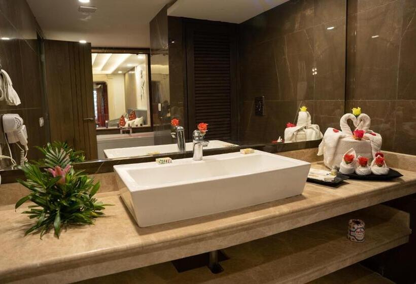 هتل Snow Land Srinagar