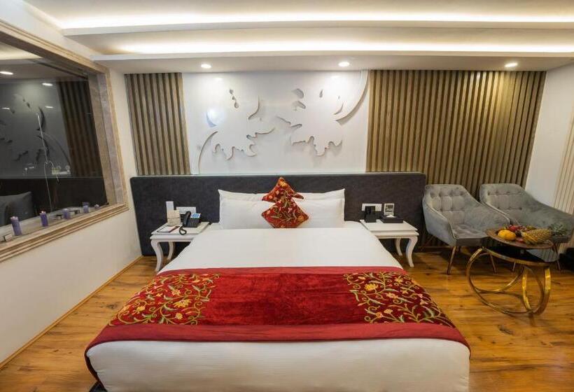 هتل Snow Land Srinagar