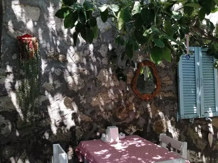 Kaktushan Otel