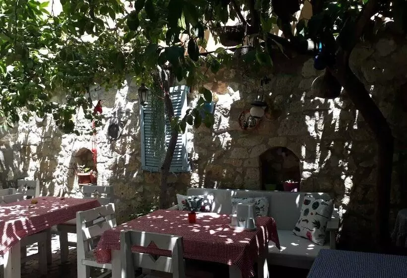 Kaktushan Otel