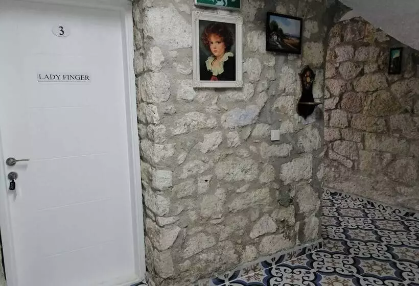 Kaktushan Otel