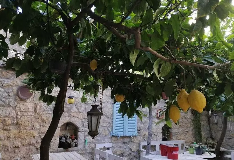 Kaktushan Otel