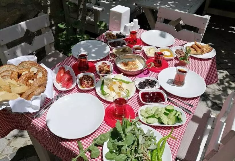 Kaktushan Otel