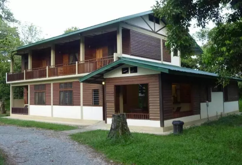 Sepilok B&b