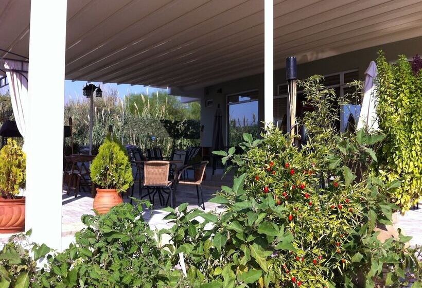 Anelia Boutique Studios & Apartments