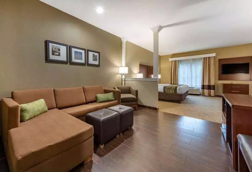 בית מלון כפרי Comfort Inn & Suites Pittsburgh South