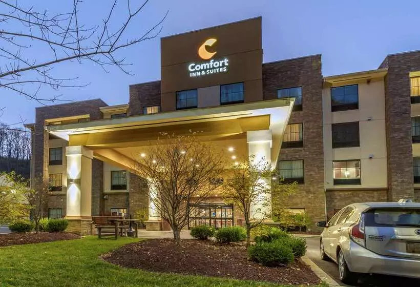בית מלון כפרי Comfort Inn & Suites Pittsburgh South