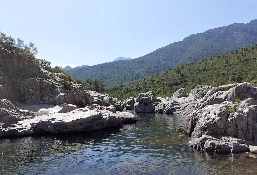 Отель Hôtel & Restaurant Les Mouettes