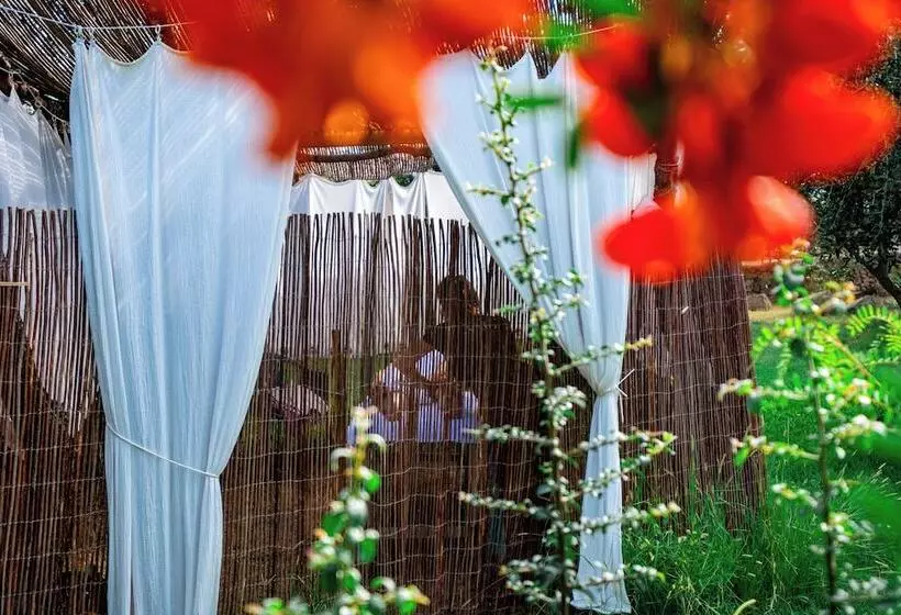 Отель Hôtel & Restaurant Les Mouettes