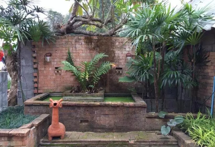 هتل Pai Vintage Garden Resort