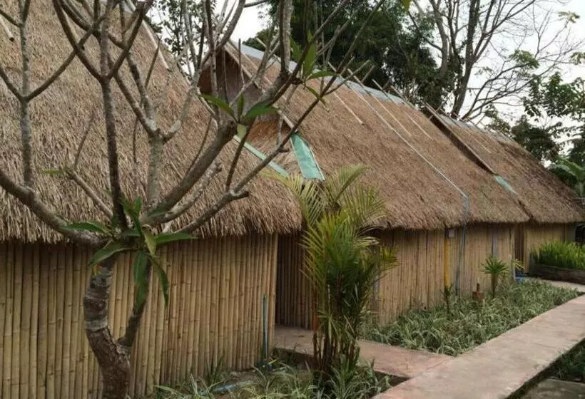 هتل Pai Vintage Garden Resort