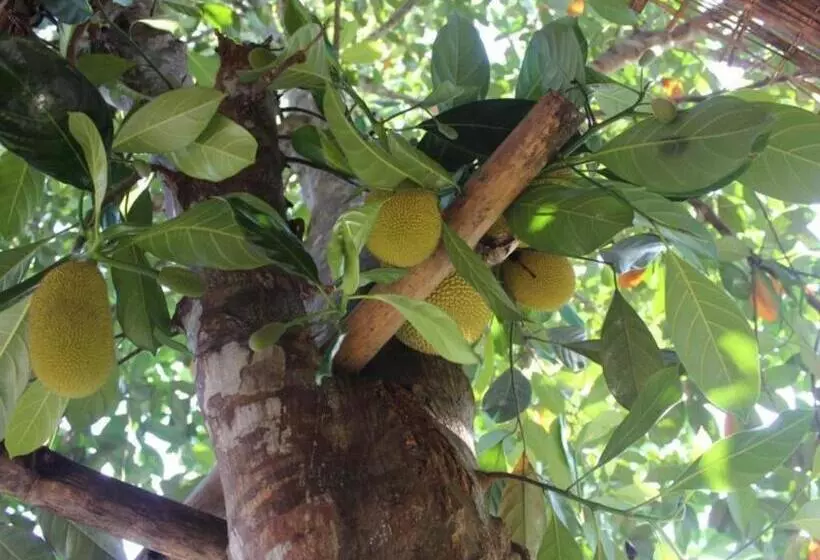 هتل Pepper Farm Phu Quoc Bungalow