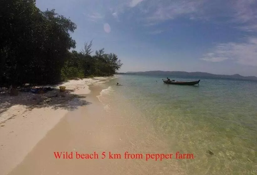هتل Pepper Farm Phu Quoc Bungalow