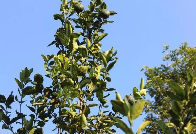 هتل Pepper Farm Phu Quoc Bungalow